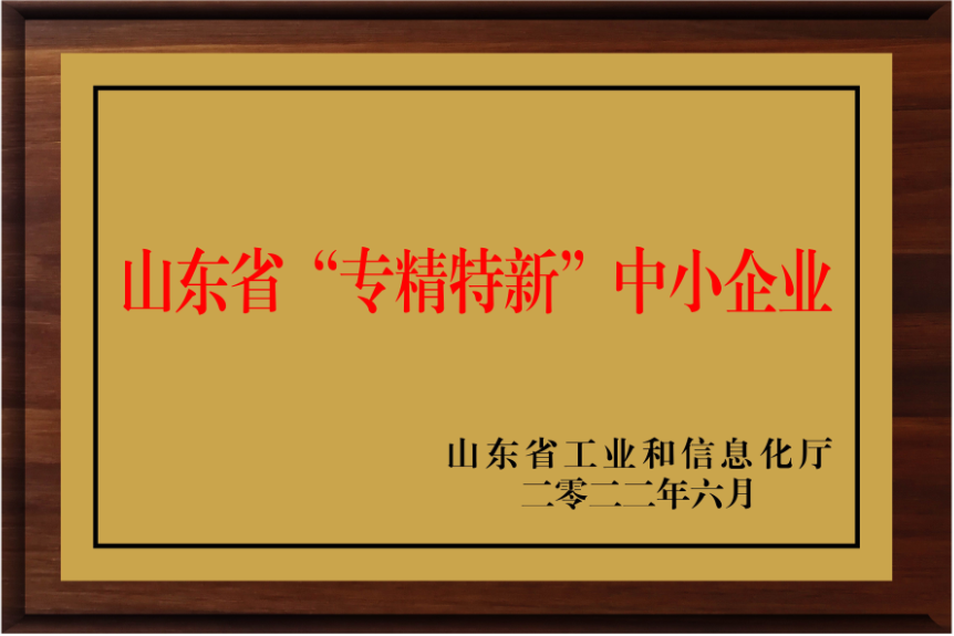 山東省專(zhuān)精特新企業(yè)